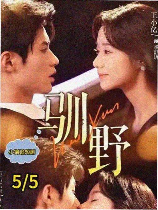 甜蜜惩罚画面与原声配置参考